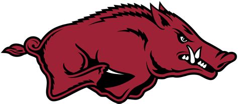Ark women's basketball - Rankings from AP poll. The 2020–21 Arkansas Razorbacks women's basketball team represents the University of Arkansas during the 2020–21 NCAA Division I women's basketball season. The Razorbacks, led by fourth-year head coach Mike Neighbors, play their home games at Bud Walton Arena and compete as members of the Southeastern Conference (SEC). 